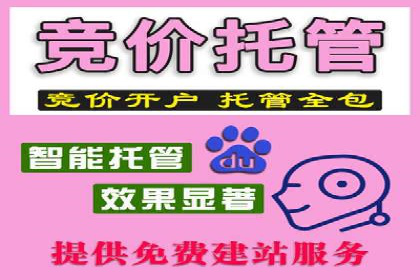 百度竞价排名服务的广告投放技巧与策略